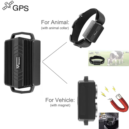 Tkstar-Winnes TK935 3.000 mAh nyakörv GPS Nyomkövető Tracker