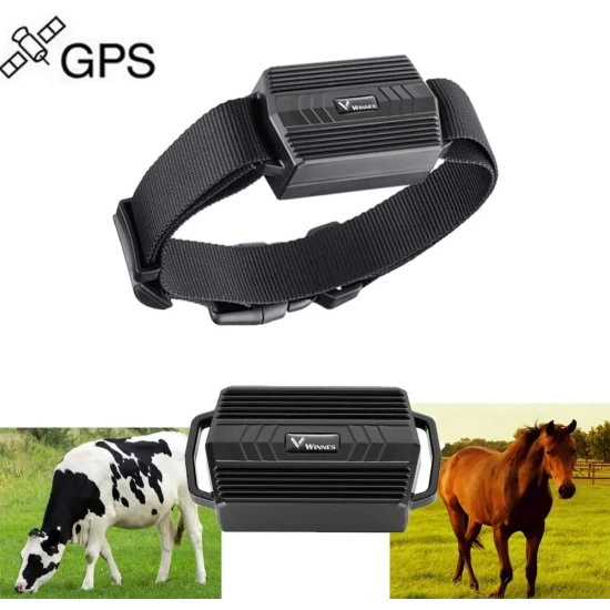 Tkstar-Winnes TK935 3.000 mAh nyakörv GPS Nyomkövető Tracker