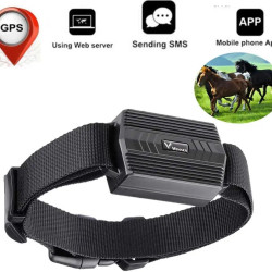 Tkstar-Winnes TK935 3.000 mAh nyakörv GPS Nyomkövető Tracker